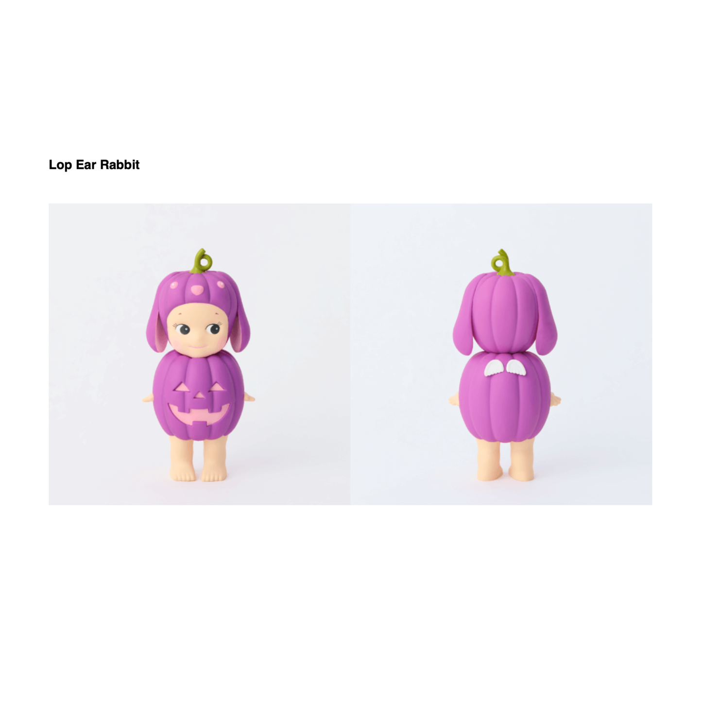 SONNY ANGEL Pumpkin Patch Series